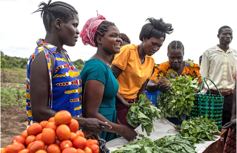 Farmers markets: An introduction 