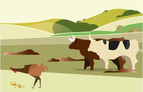 The role of livestock in circular bioeconomy systems