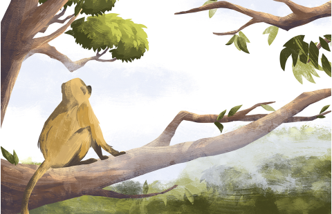 Agrifood systems solutions for halting deforestation 