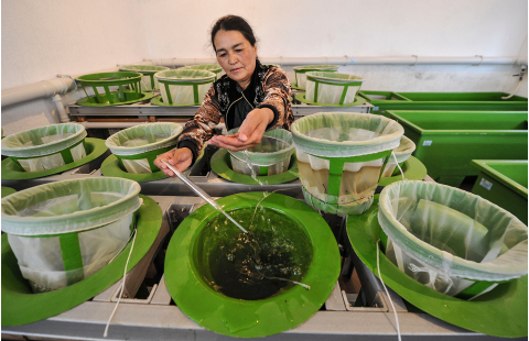 Best practice guidance for occupational safety and health in inland aquaculture and fisheries