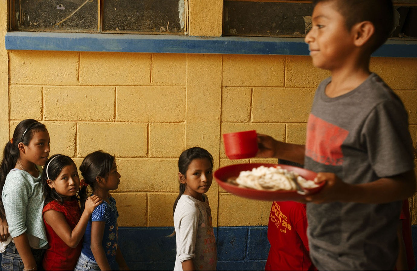 Liens entre la sécurité alimentaire, la nutrition et la protection sociale: Une introduction aux concepts et principes clés 