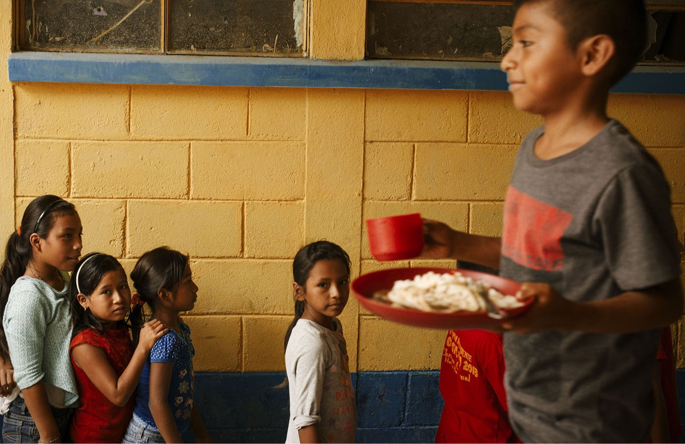Vínculos entre la seguridad alimentaria, la nutrición y la protección social: introducción a los principios y conceptos básicos 