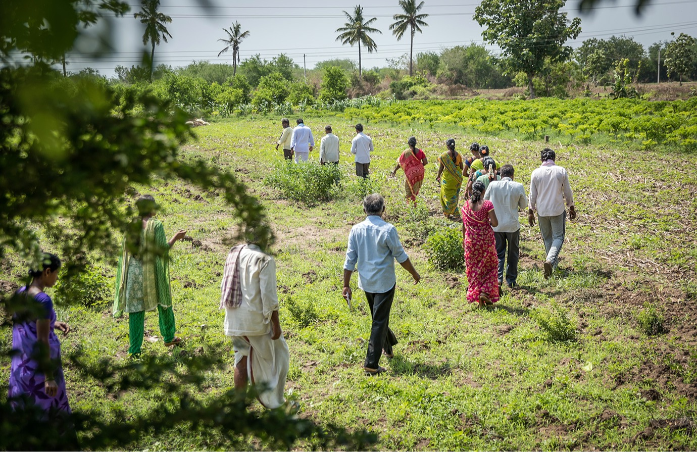 Formulation of Farmer Field School programmes