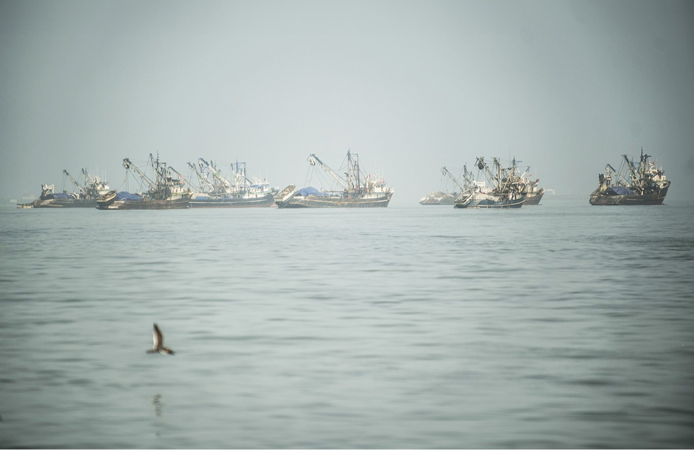 Agreement on Port State Measures and the framework to fight illegal, unreported and unregulated fishing 