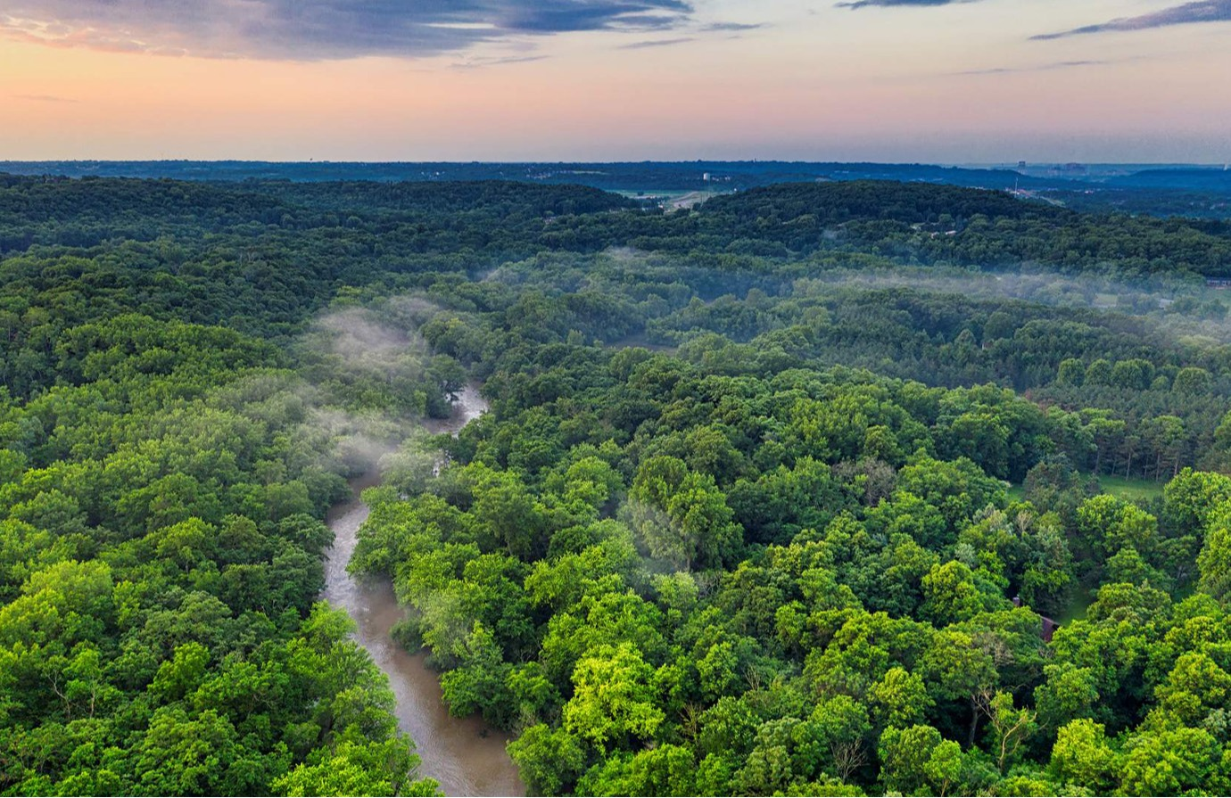 ¿Por qué un inventario forestal nacional (IFN)?