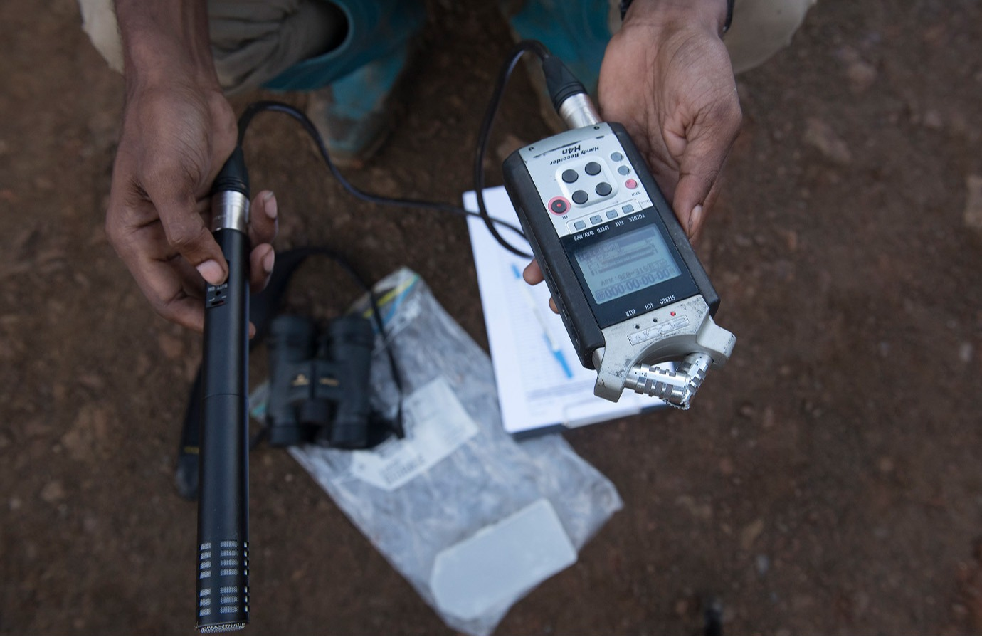 Garantía de calidad y control de calidad en un inventario forestal nacional 