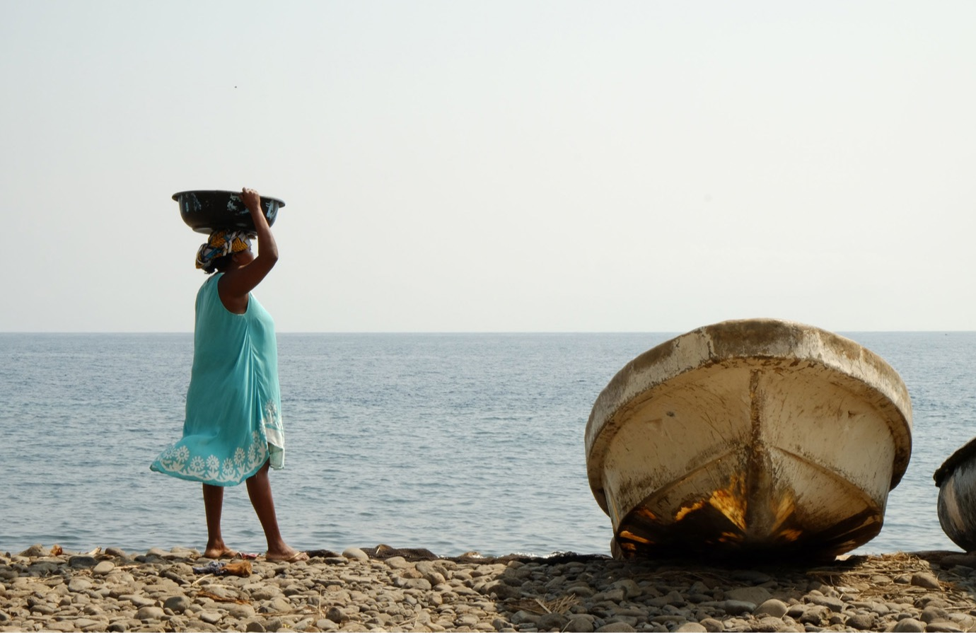 Approche écosystémique des pêches - Outil de suivi de la mise en œuvre