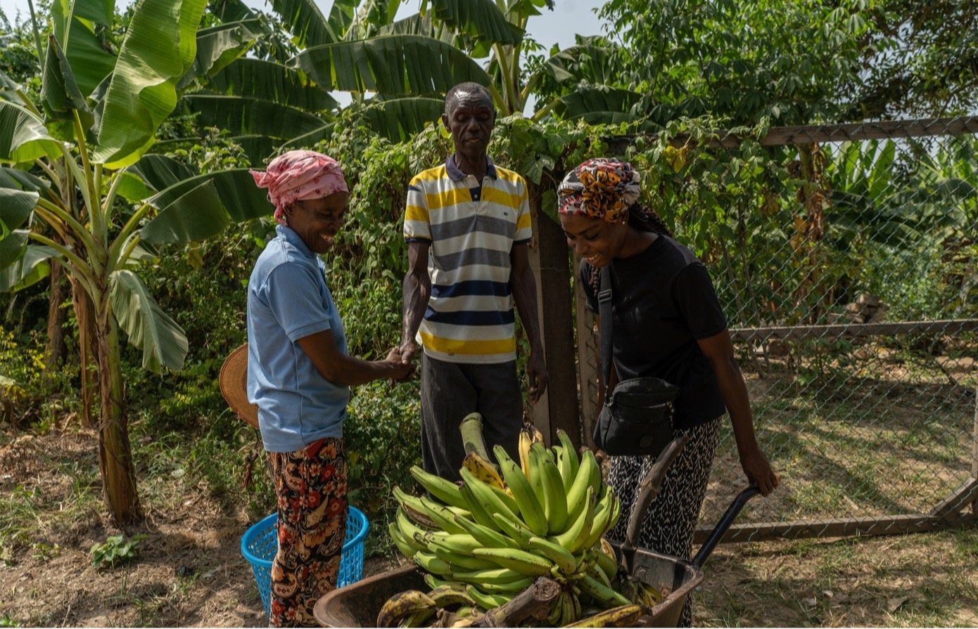 Tropical Agriculture Platform: Capacity Development for Agricultural Innovation Systems