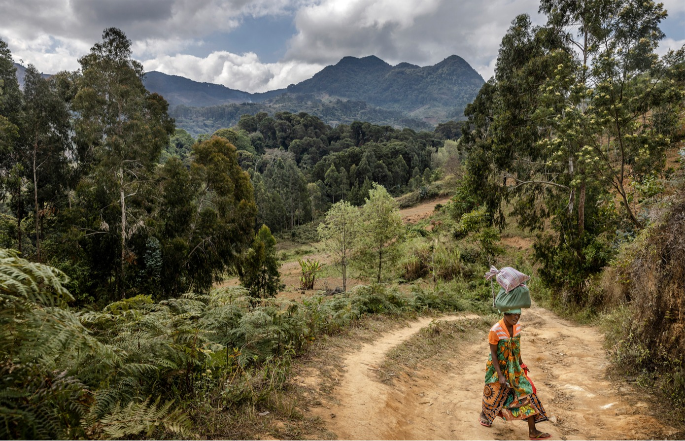 Introduction to forest management planning