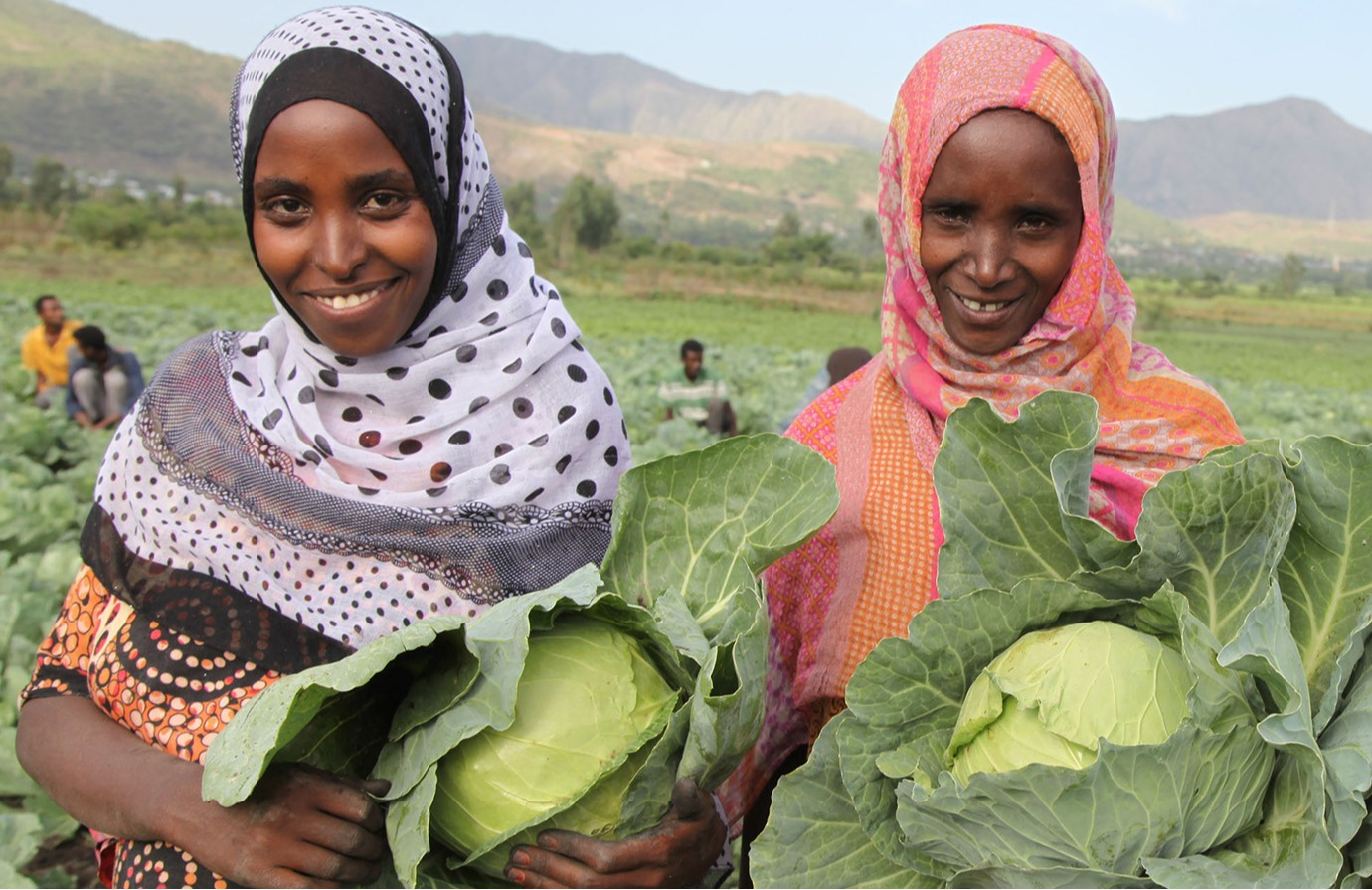 L'agroécologie pour l'Afrique 