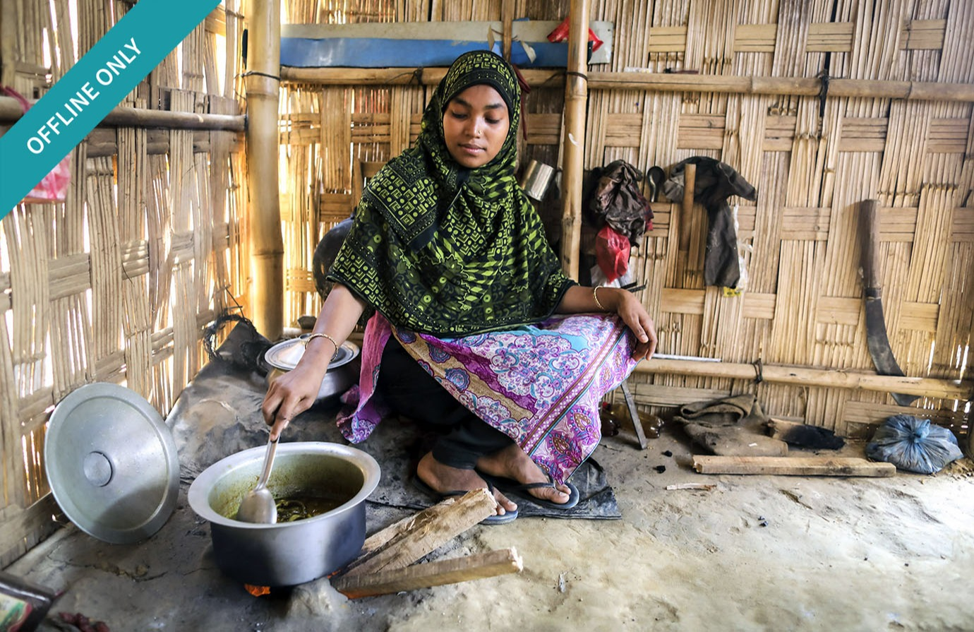 Course: Food Security Concepts and Frameworks