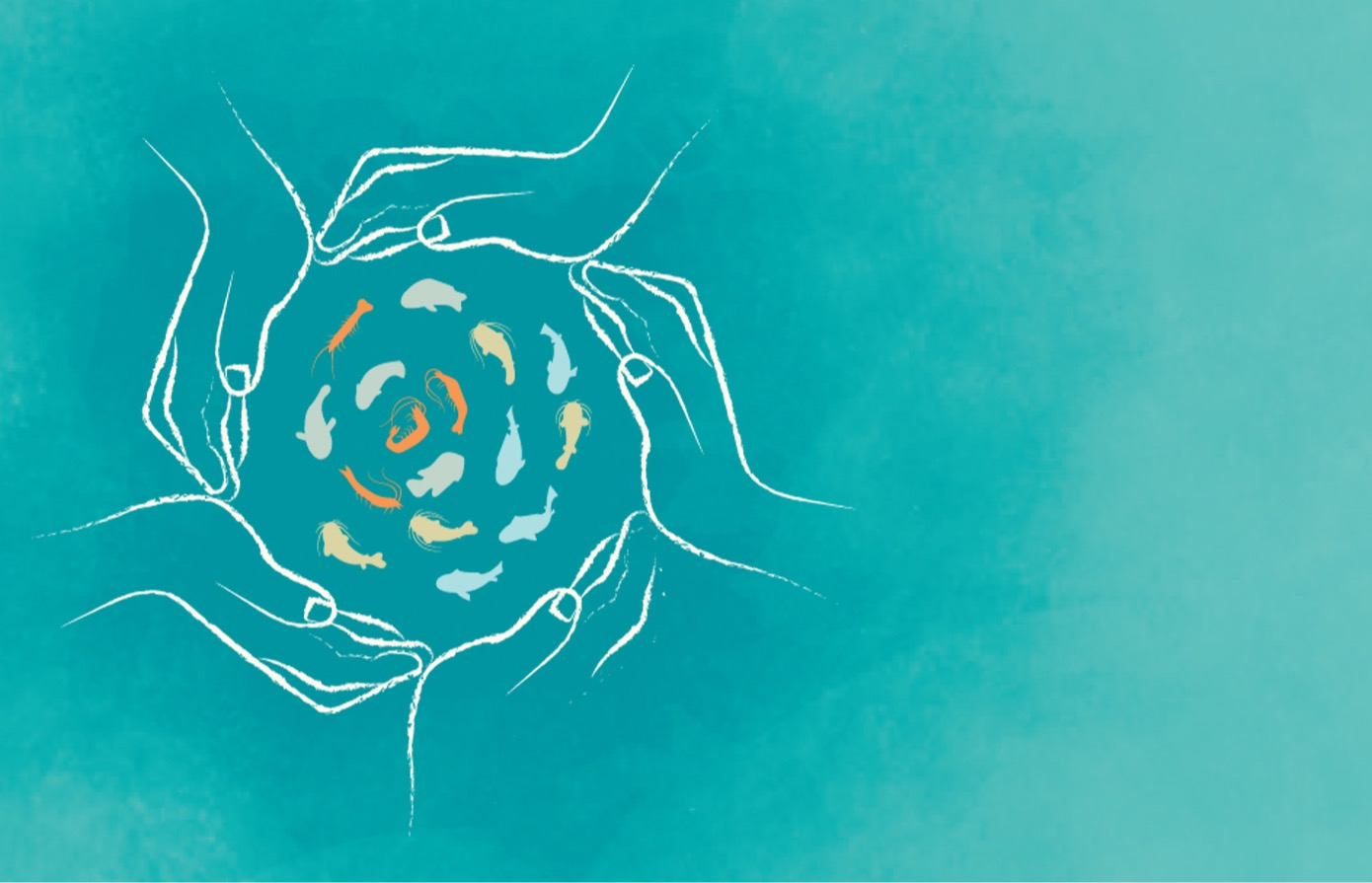 Developing aquaculture co-management systems