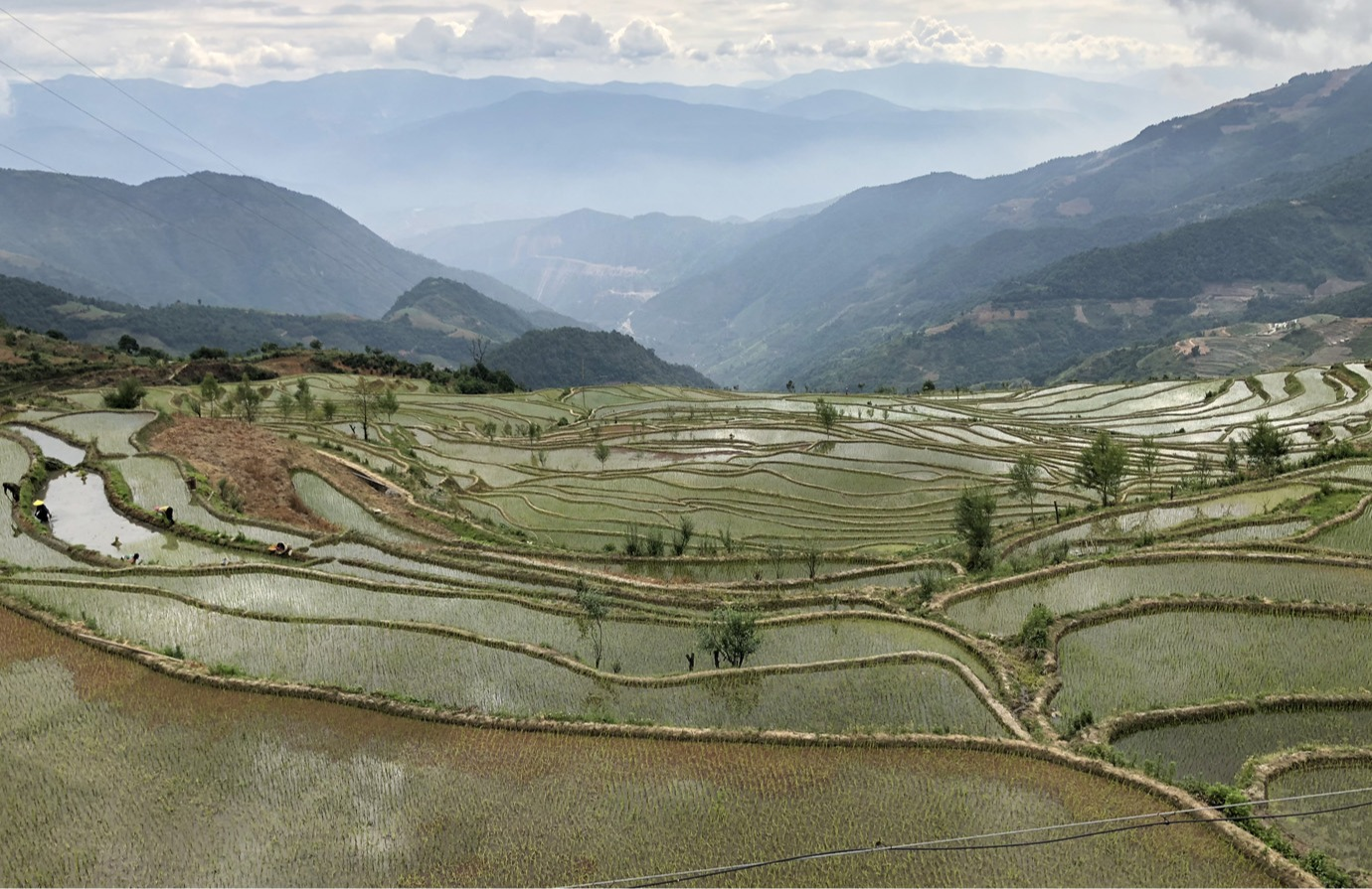 Introducing crop calendars for climate adaptation 