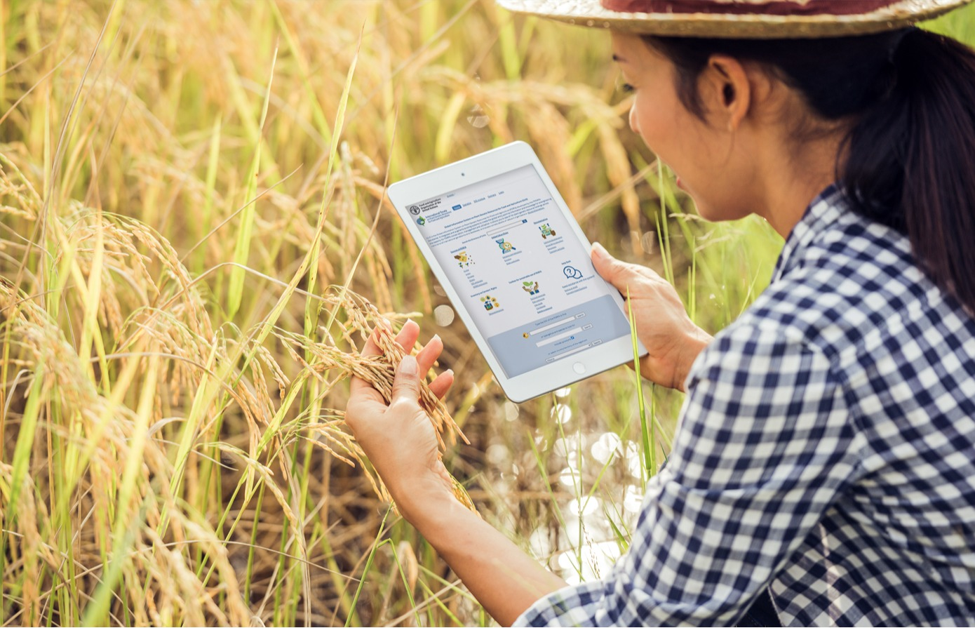 The Global Information System