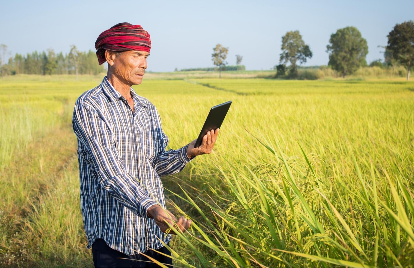 Introduction to documenting plant genetic resources for food and agriculture