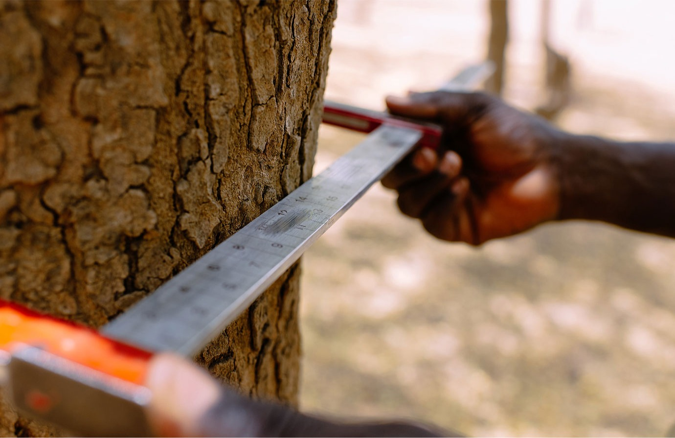 Uncertainty in estimating forest emissions: Introduction to Monte Carlo