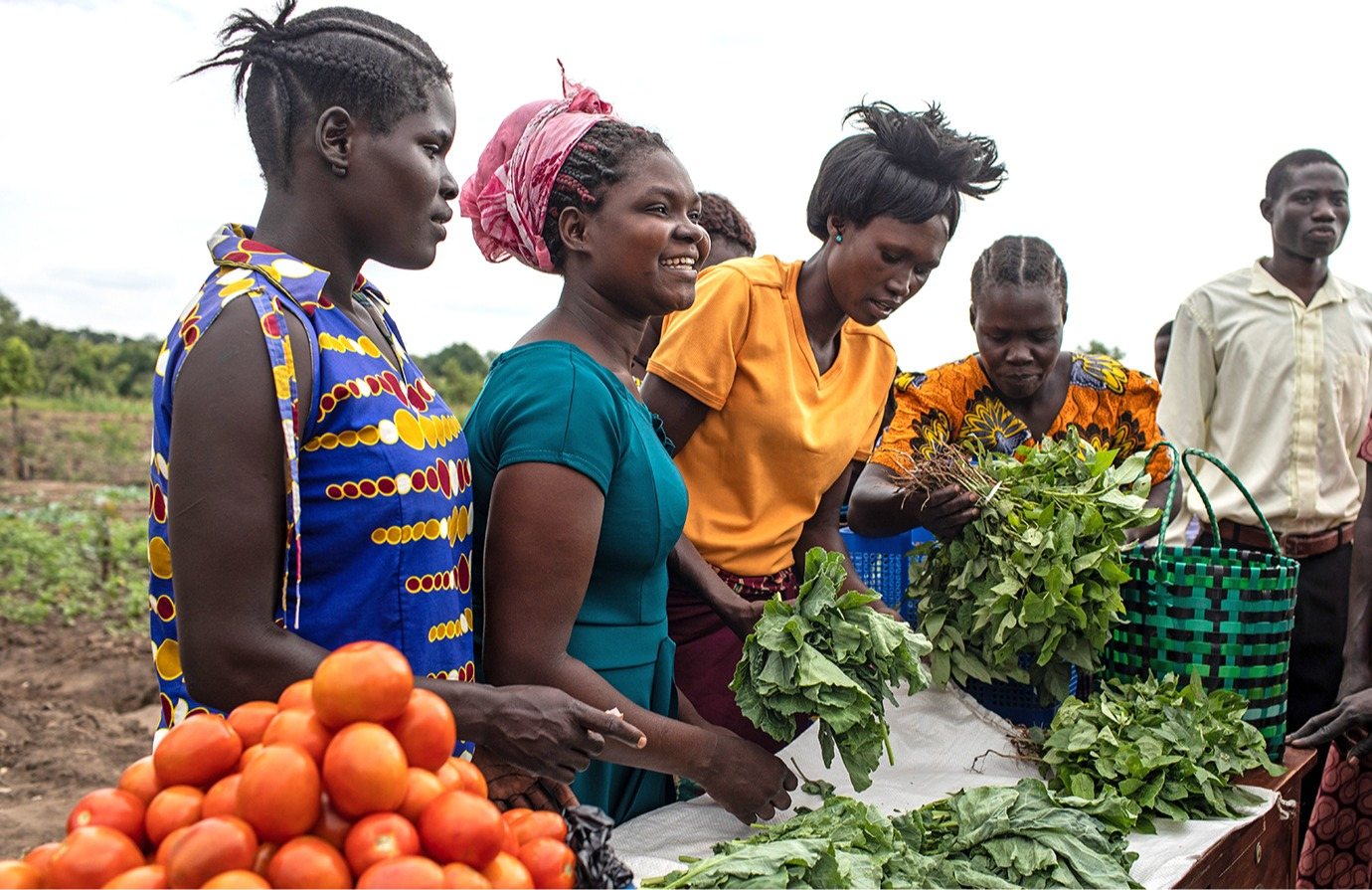 Farmers markets: An introduction 