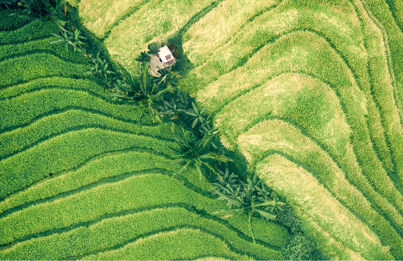 Préserver les droits fonciers dans le cadre des investissements agricoles