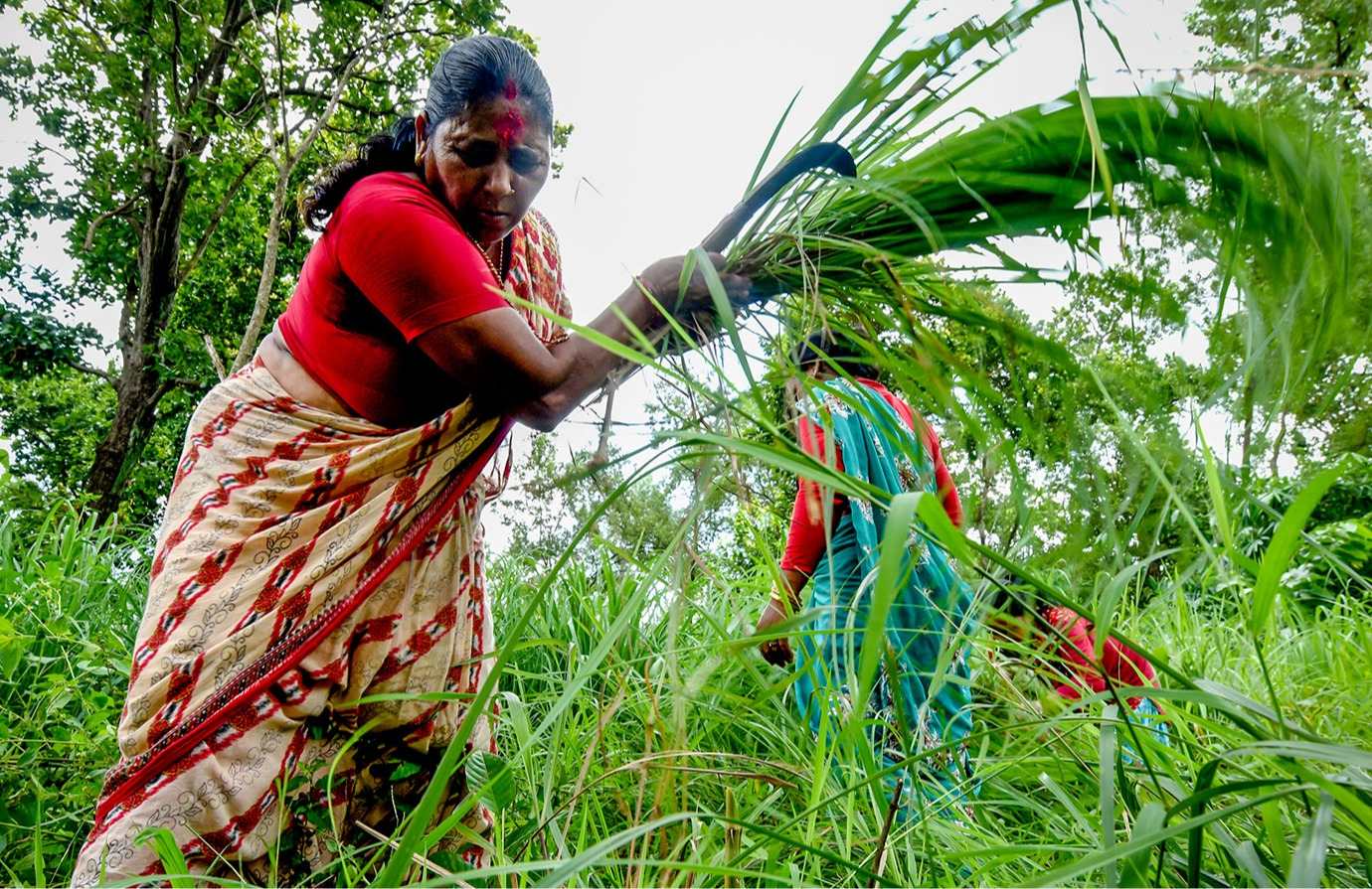 SDG Indicator 5.a.2 - Ensuring women’s legal rights to land ownership and/or control