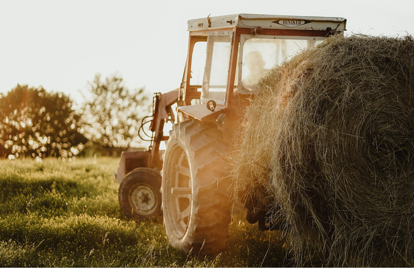 Indicador 2.a.1 de los ODS - el índice de orientación agrícola