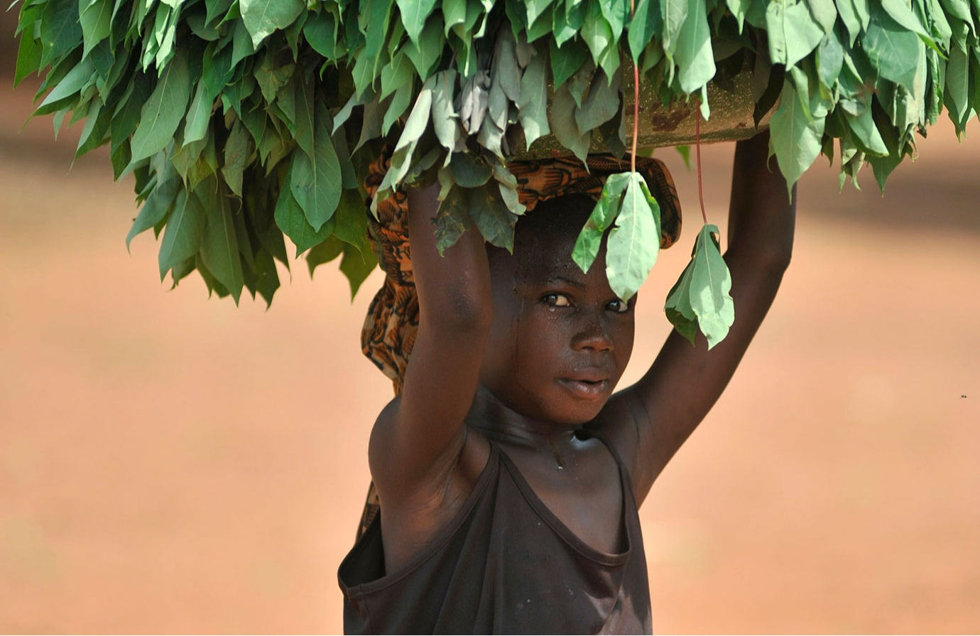 Mobiliser les acteurs en vue d'éliminer le travail des enfants dans l'agriculture