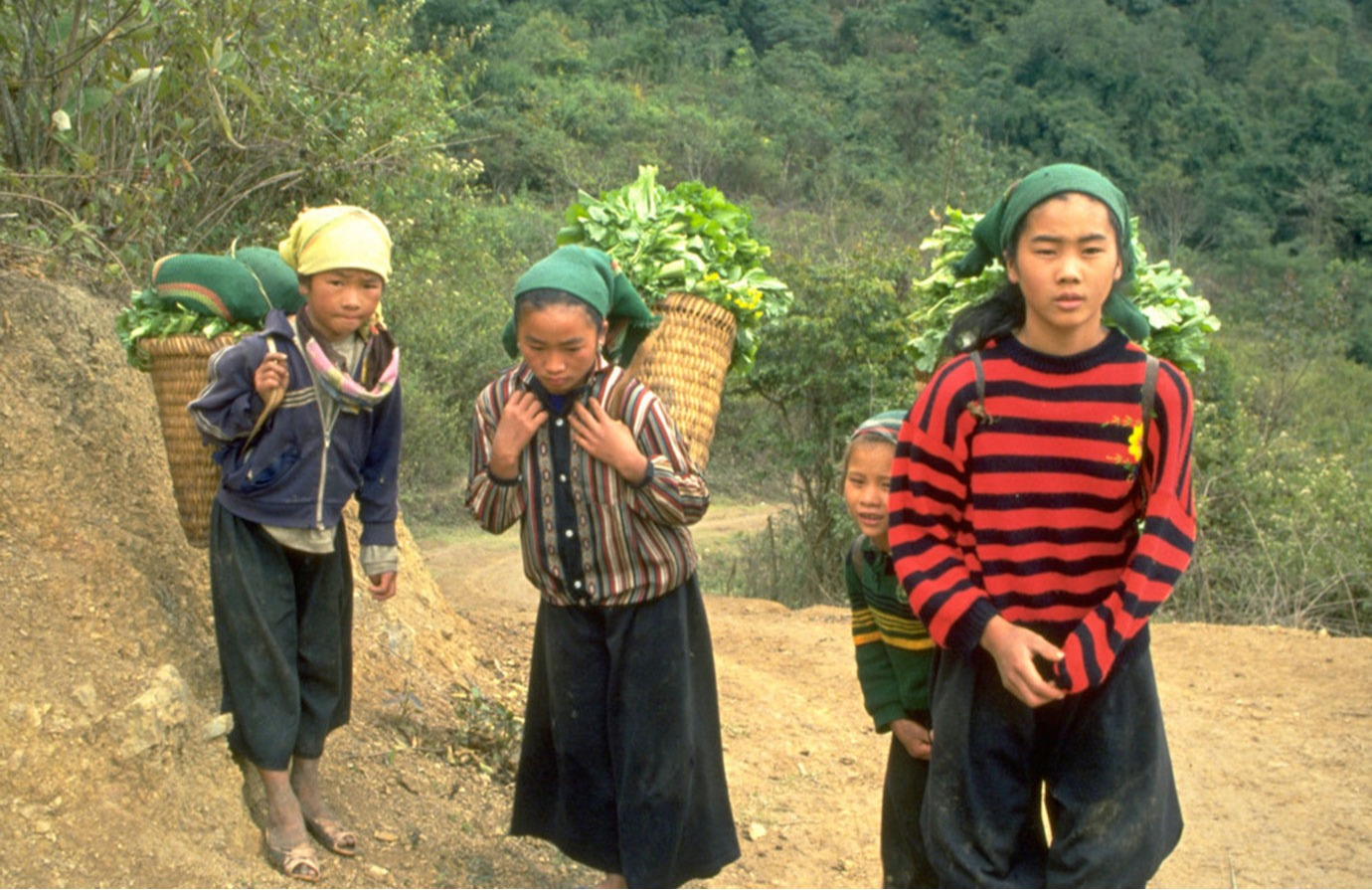 Incorporación de la cuestión del trabajo infantil en las políticas y estrategias