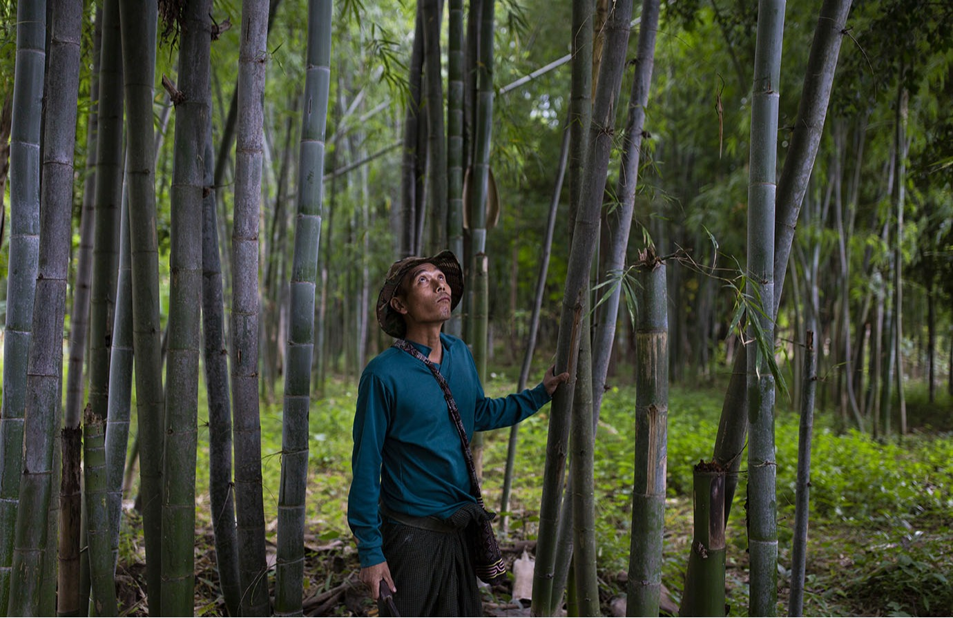 La sécurité foncière pour une meilleure foresterie : appliquer les directives volontaires pour une gouvernance responsable des régimes fonciers 