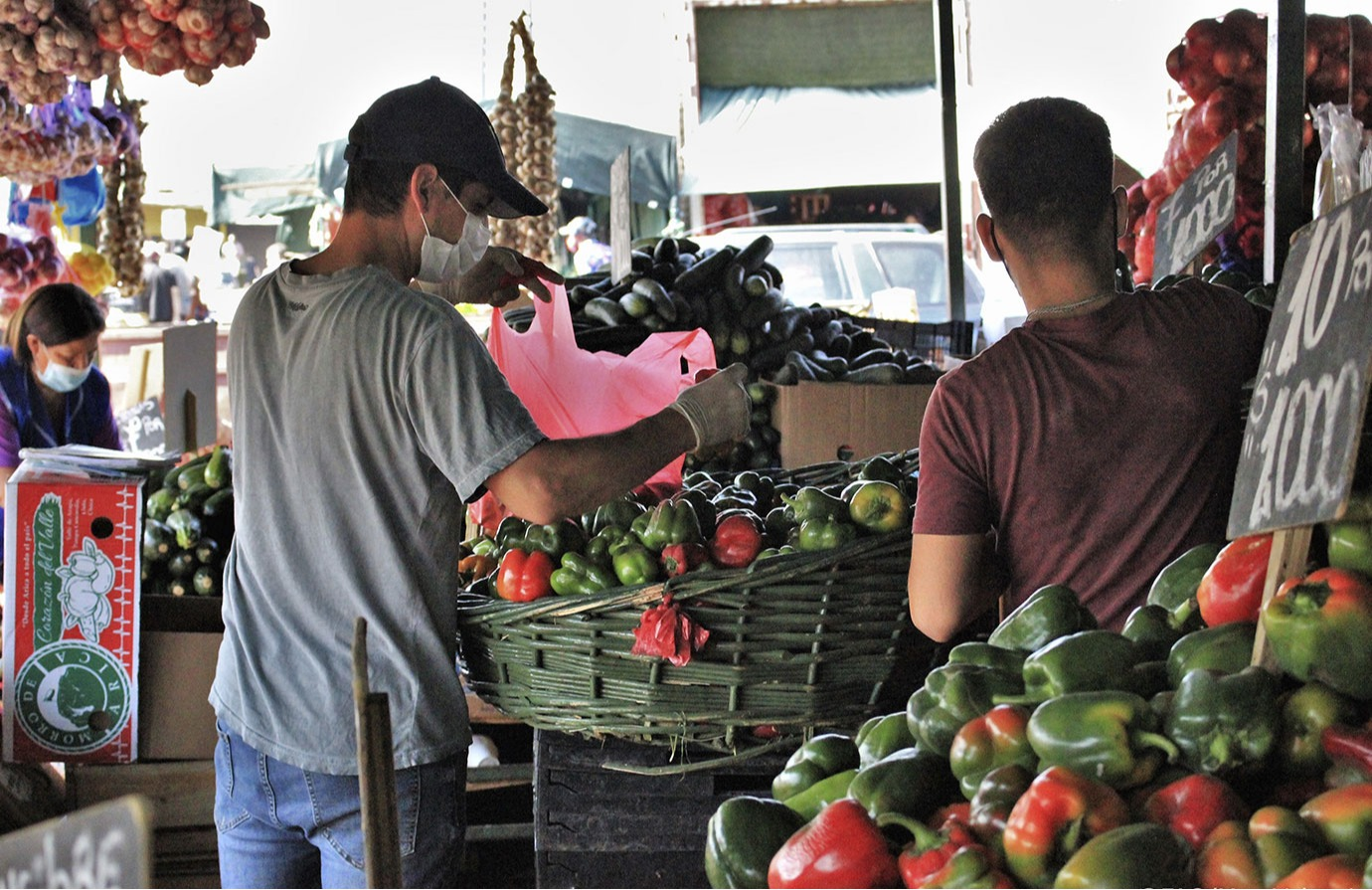 Introducción al comercio, la seguridad alimentaria y la nutrición