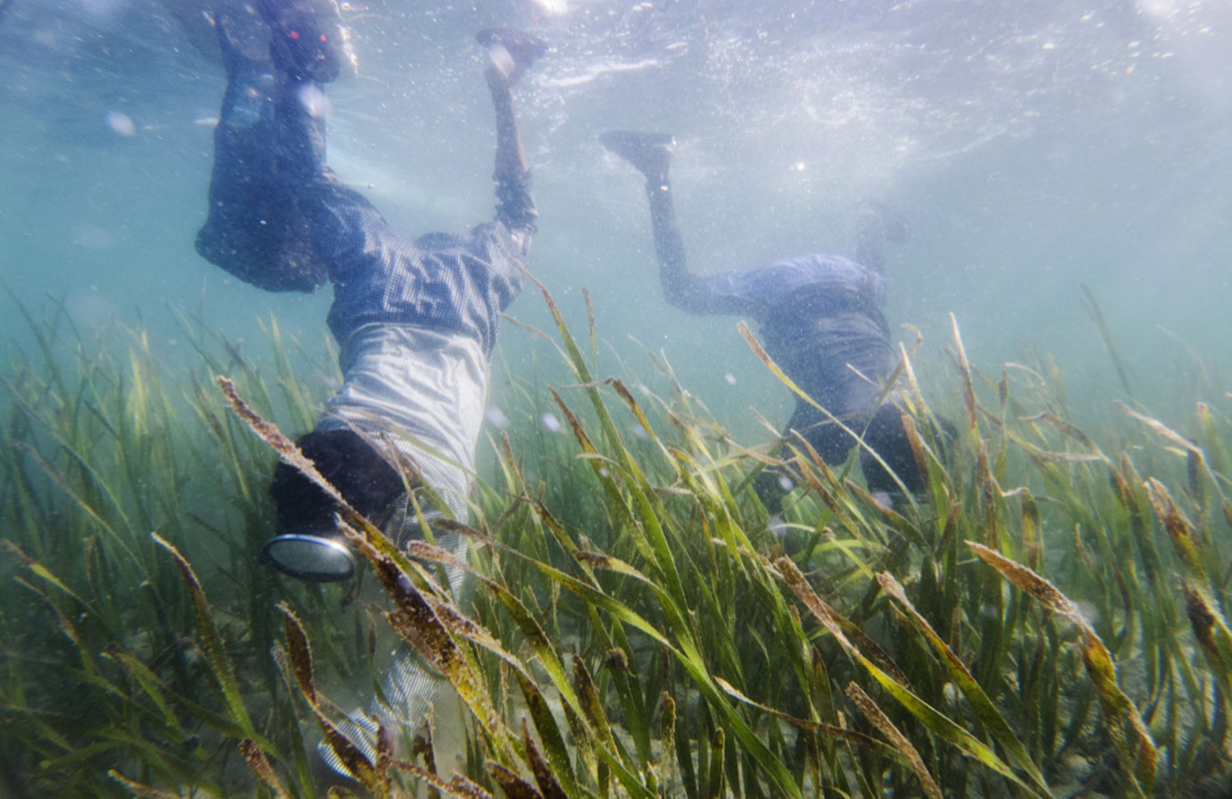 Approche écosystémique des pêches - Planification