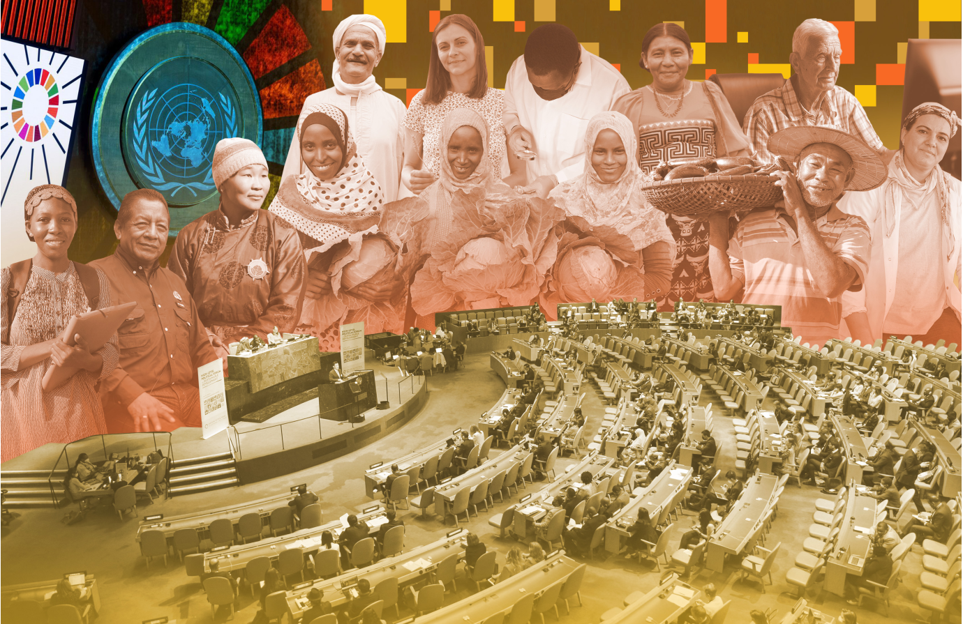 Voluntary National Reviews and the High-Level Political Forum