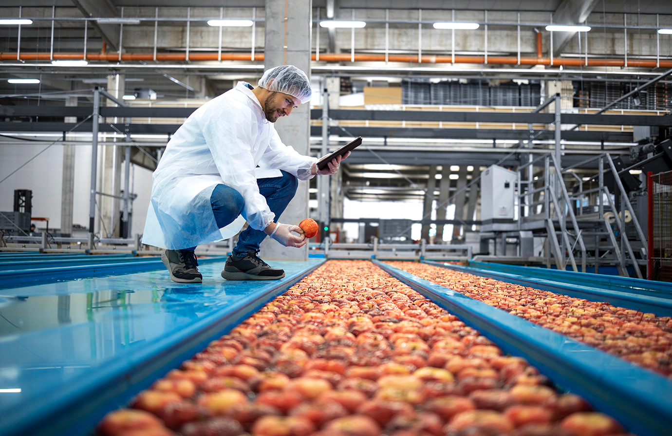 Lograr el acceso a los mercados de plantas y productos vegetales 