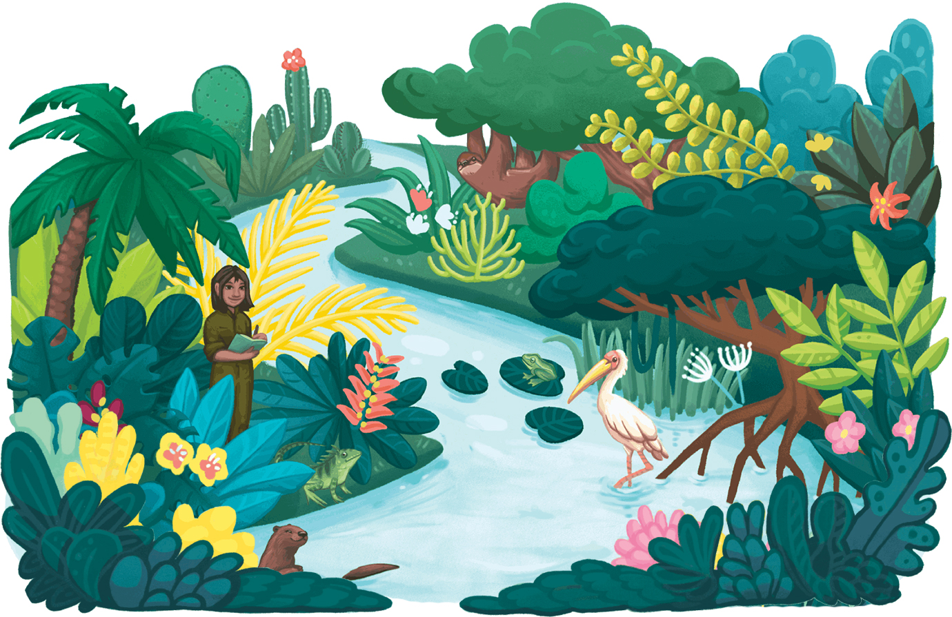 Global Forest Resources Assessment 2025