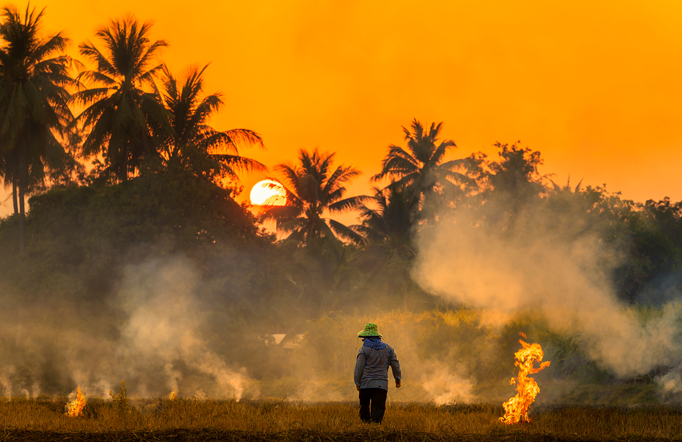 Basic integrated fire management tools for early warning and decision-making 