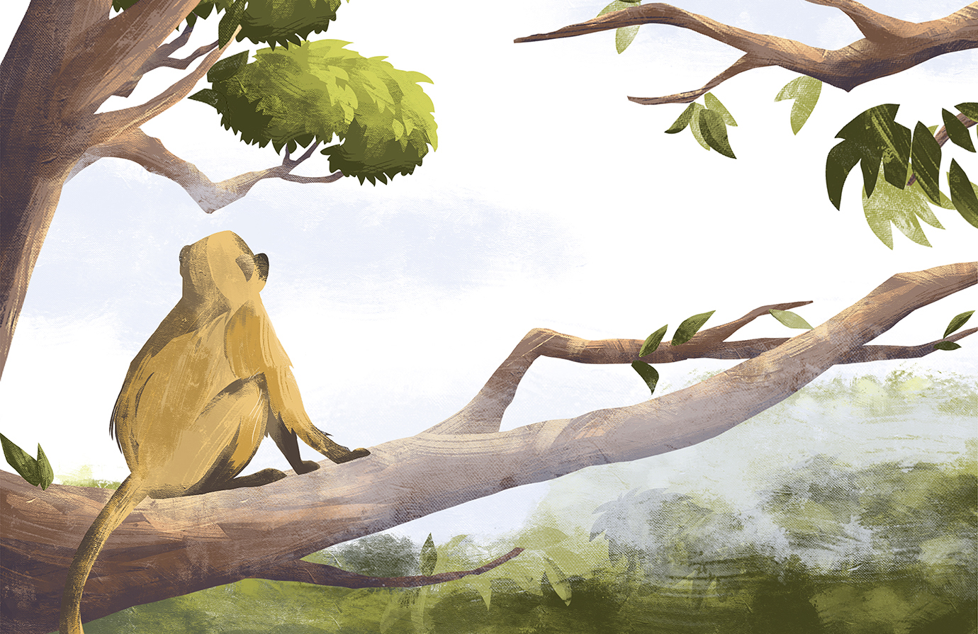 Agrifood systems solutions for halting deforestation 
