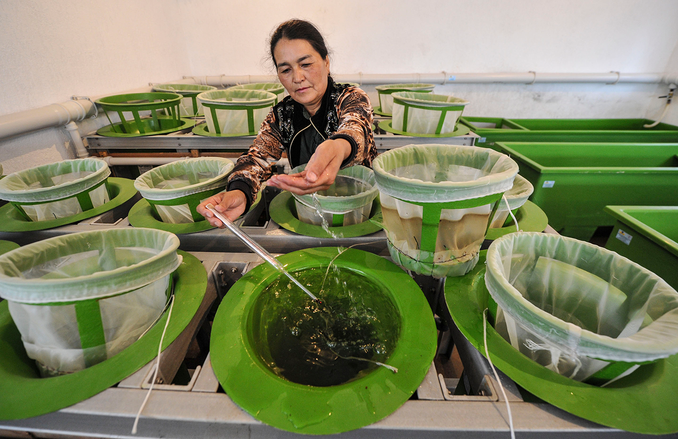 Best practice guidance for occupational safety and health in inland aquaculture and fisheries