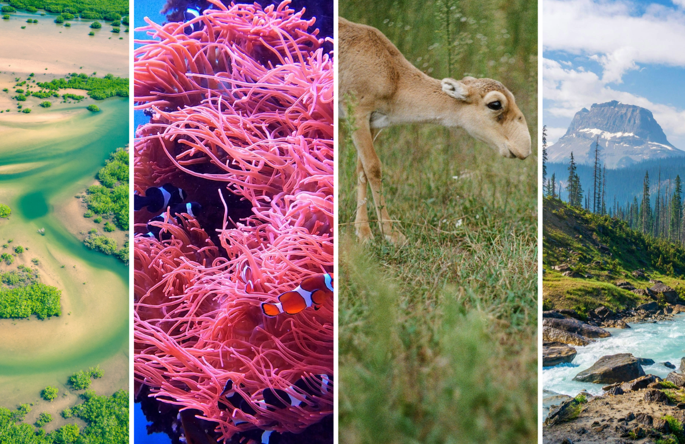 Delivering restoration outcomes for biodiversity and human well-being