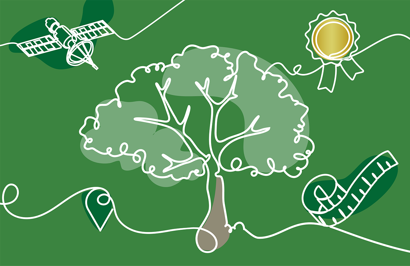 Serie de aprendizaje electrónico: monitoreo de bosques para la acción climática