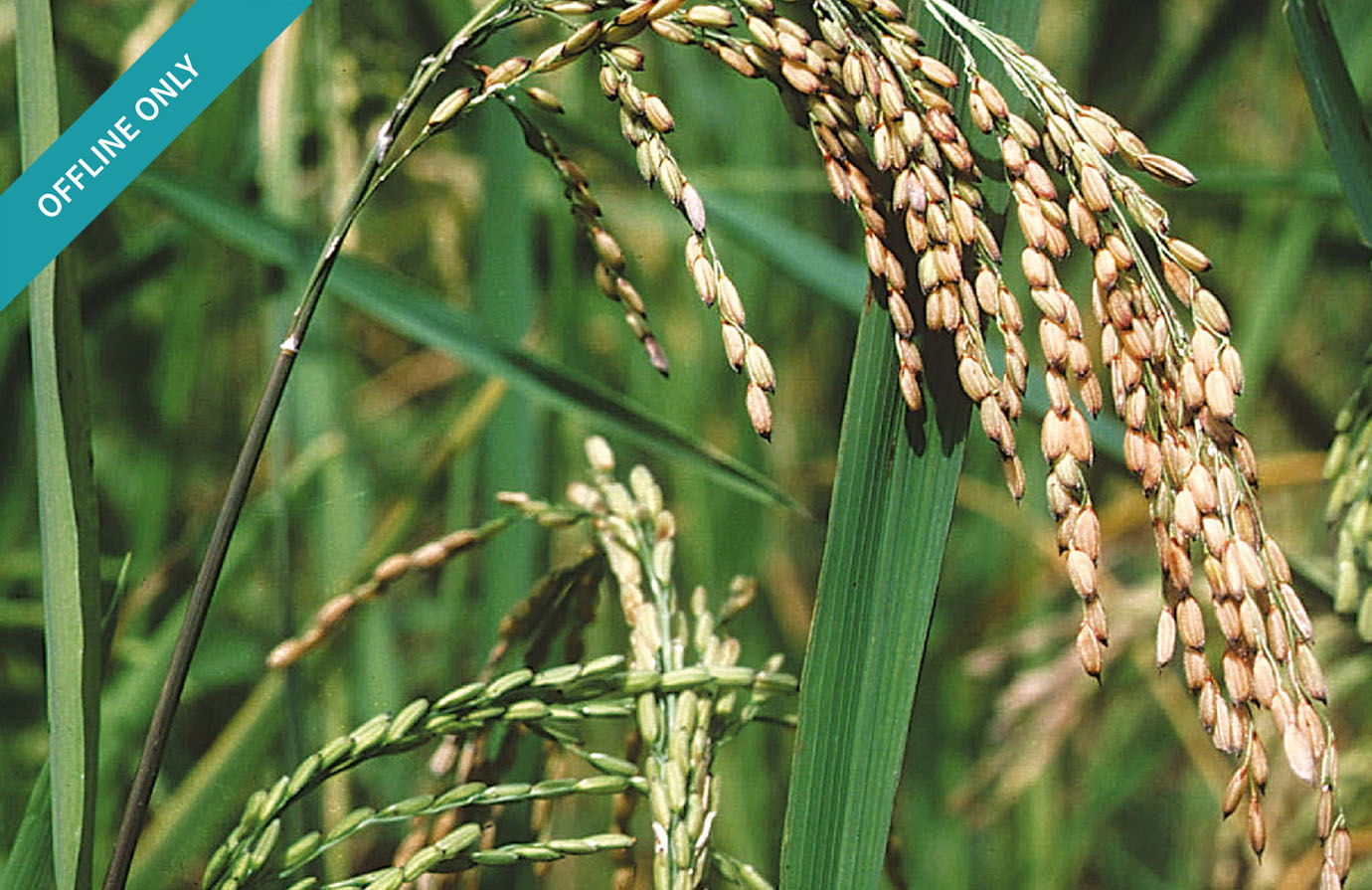 Course: Availability Assessment and Analysis