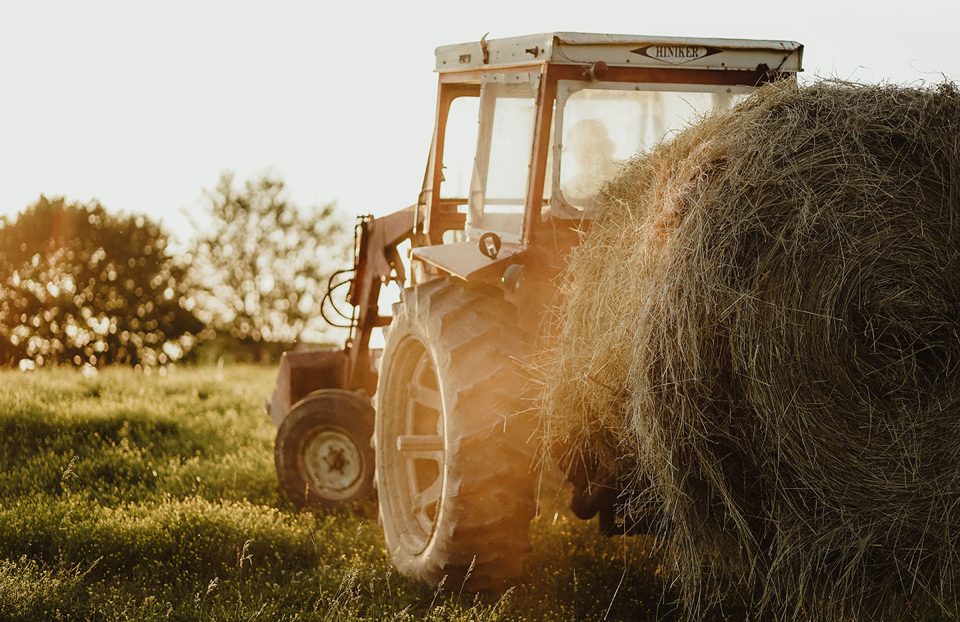 Cours  Indicateur ODD 2.a.1  Indice d’orientation agricole