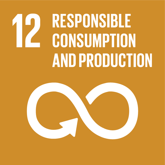 SDG12_responsible consumption.png