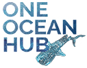 One ocean hub