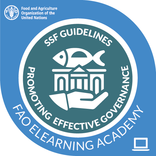 Governance in small scale fisheries governance in small scale