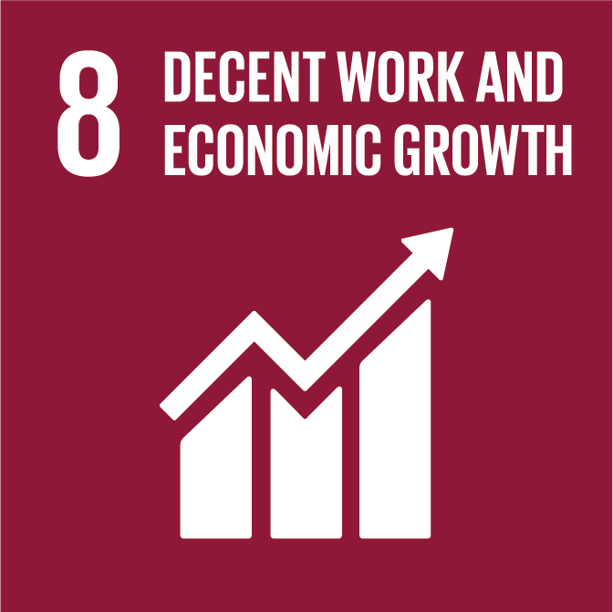 _SDG8_Decent work.png