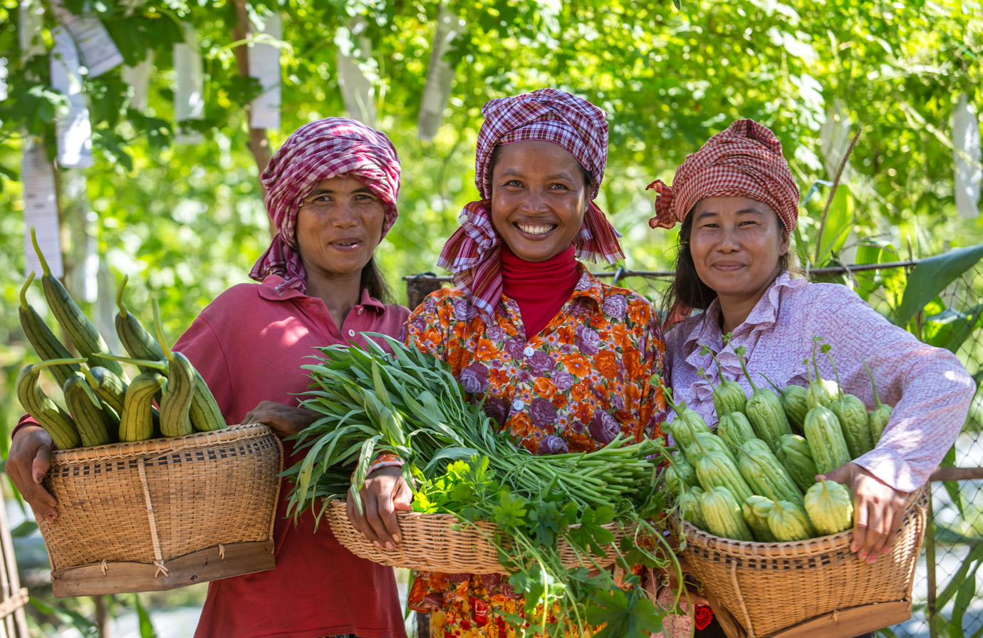 Course: Minimum dietary diversity for women | FAO elearning Academy
