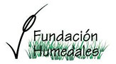Fundación Humedales