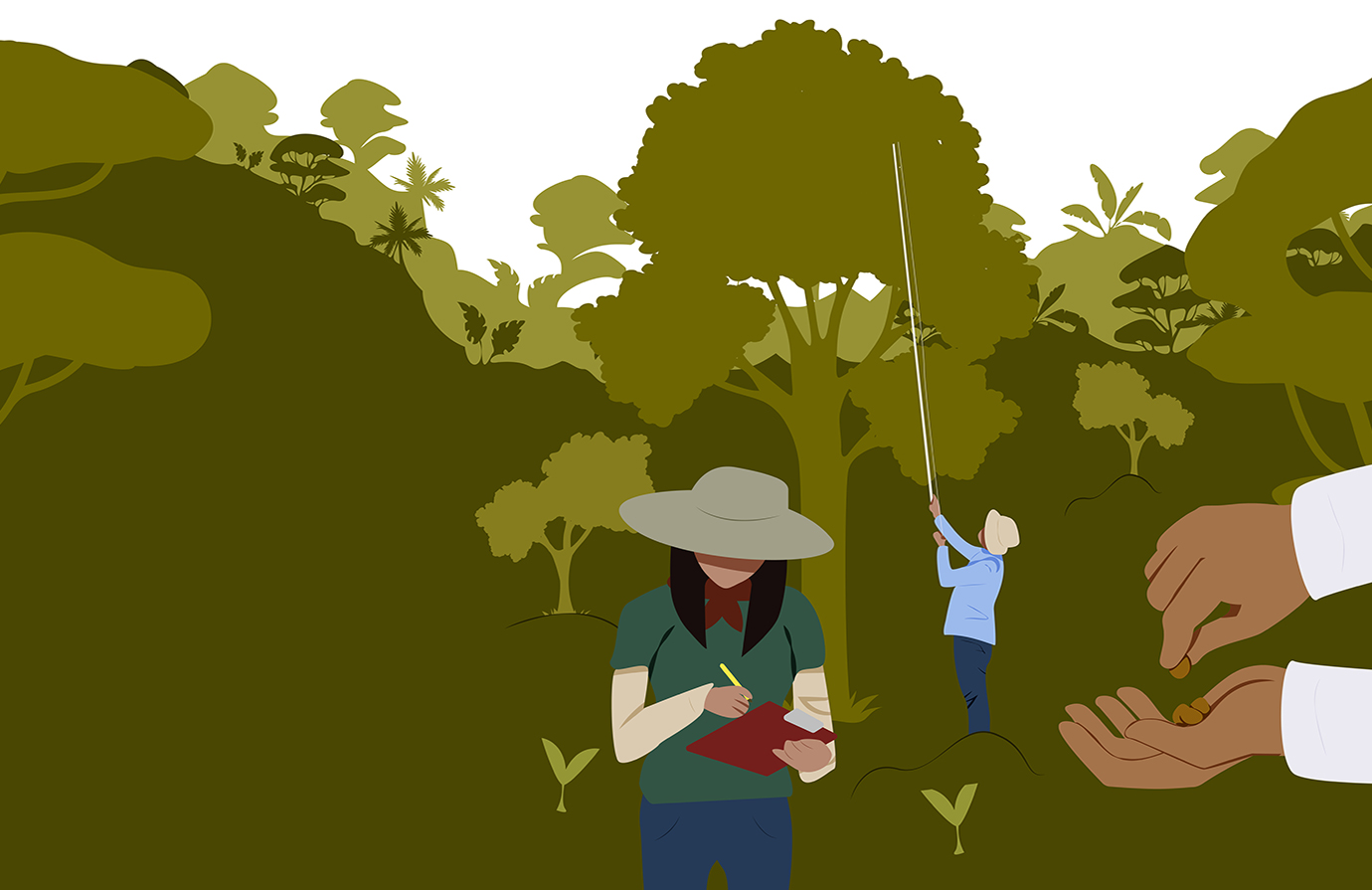 Course: Planning seed and seedling supply for forest and landscape